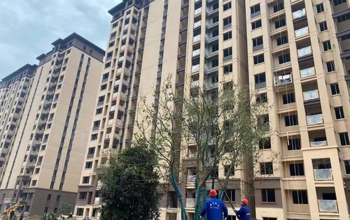 宜昌楼盘 当阳市楼盘 当阳市楼盘 公园大观 楼盘动态