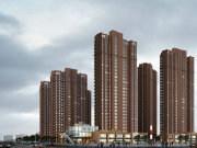 武汉洪山白沙洲中大长江紫都六期楼盘新房真实图片