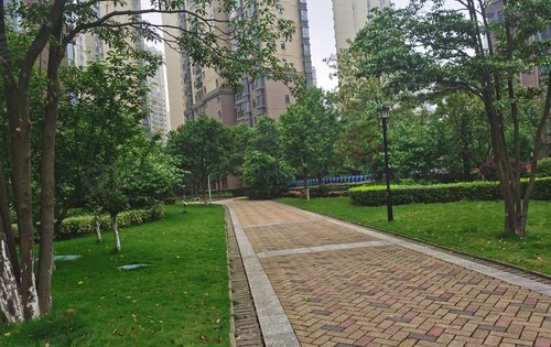 江山帝景小区环境好路面干净