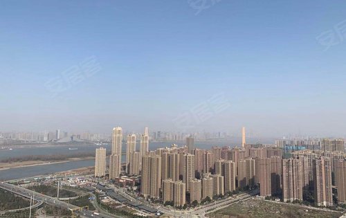 武汉楼盘 洪山楼盘 白沙洲楼盘 新力城 楼盘动态