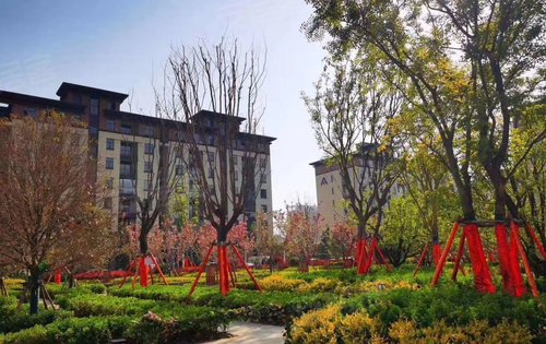 一套建业的房子给你美好的生活