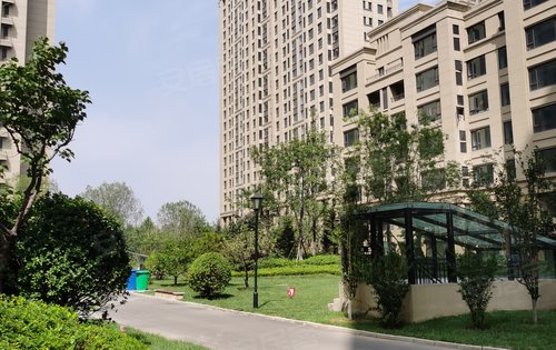 霸州温泉新都孔雀城玺园五期高层居住区绿化环境实景拍摄 叠拼别墅