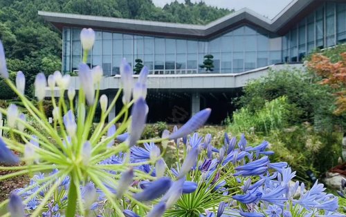 阆中山湖语小区的景点,欢迎来打卡,适合亲自活动,网红拍照呀