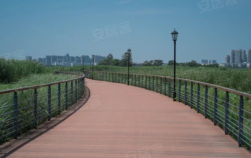 项目旁边的三角湖湿地公园,环境优美,欢迎大家过来找我看房