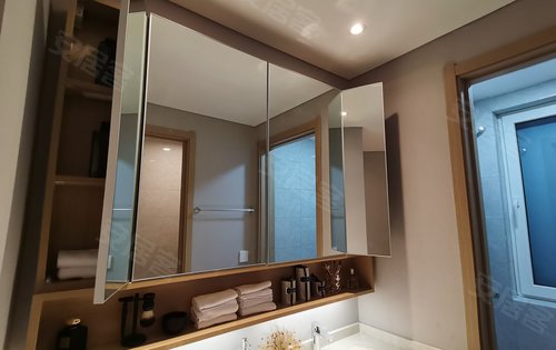 对开门镜柜,大尺度收纳空间