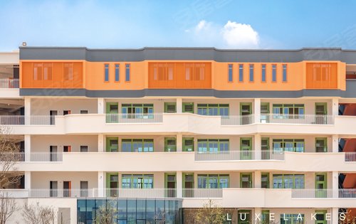 麓湖哈密尔顿小学和幼儿园国际性质公立学校已开学