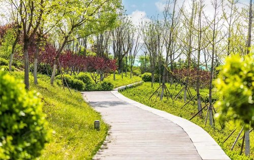 家门口的大美蒋山公园天然的植物氧吧周末娱乐好去处