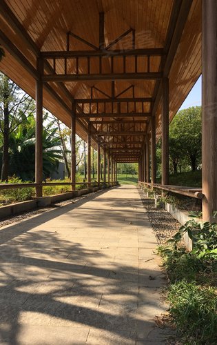 阳光正好微风不燥打卡隆平中央公园