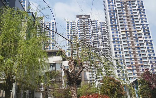 大桥·一品园(三期)动态:大桥一品园,是您温馨的家!-黄石安居客