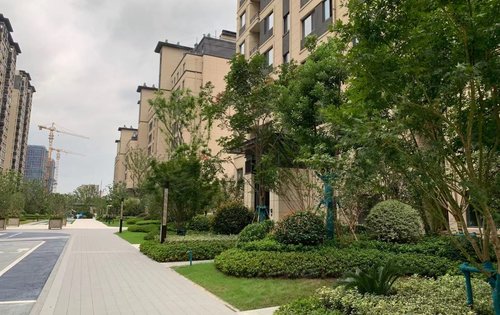 龙湖大境天成动态:龙湖大境天成——遇见大境美好天成-苏州安居客
