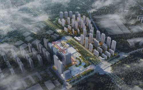 金地·宝龙·新城湖城大境