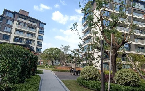 横店梧桐院子动态:眼中有风景,心中无是非,从普通的烟火中找点诗意,让