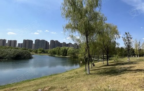 洋湖湿地公园,环境优美.