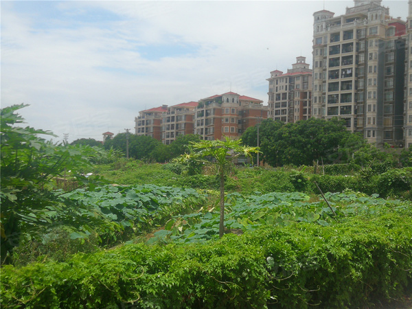 开平中颐海伦堡