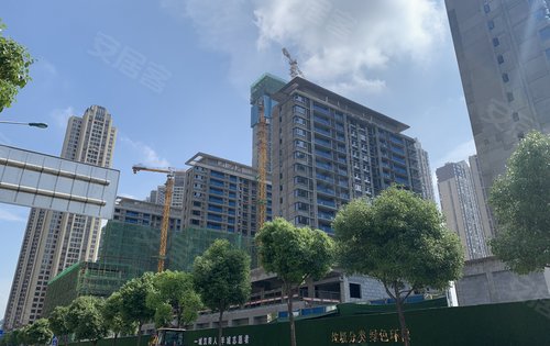 保利星宸动态:保利星宸项目周边实拍-武汉安居客