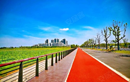 黄家湖延湖绿道