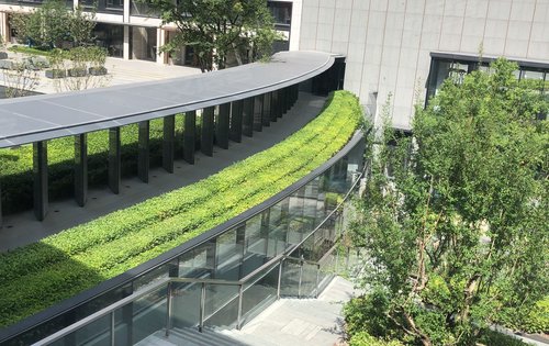 翡翠东方风雨连廊,身姿挺拔