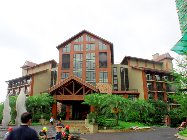 实地惠州常春藤