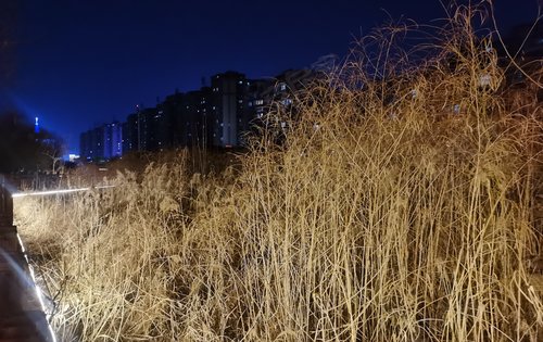家门口的包河公园夜景