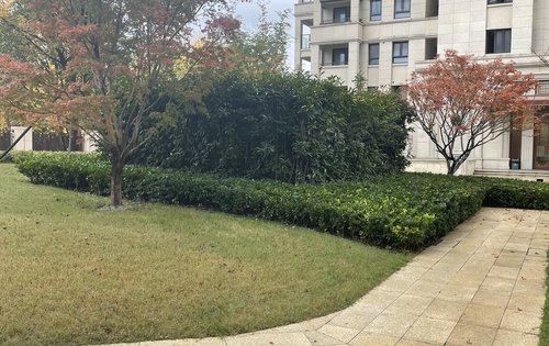 滨江雅园实景小区,小区人车分流,带有环形健康跑道,楼宇间距大,采光