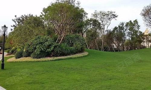 恒大珺庭动态:恒大小区园林,可踩踏草坪-乌鲁木齐安居客