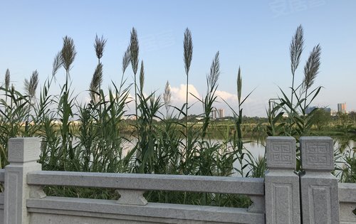 水口鹿江沥公园效果图图片