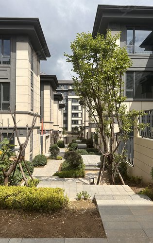 保利和府动态:空气清新风景秀丽,廊道干净整洁,是家的感觉-大连安居客