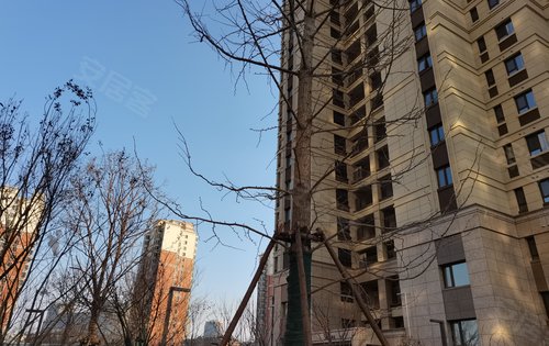 绿地华彤苑外景