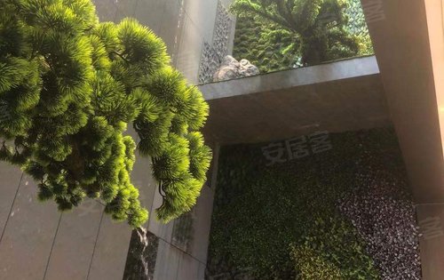 营销中心绿化欣赏