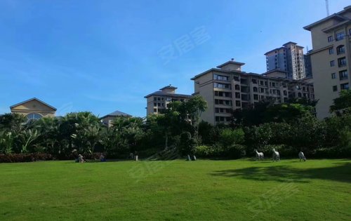 中电海湾国际社区动态:美丽的大草坪-北海安居客