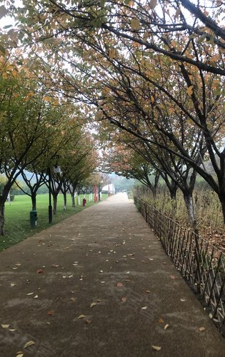 晨跑晚上散步下楼就到新寺遗址公园环境优美方便舒适欢迎了解