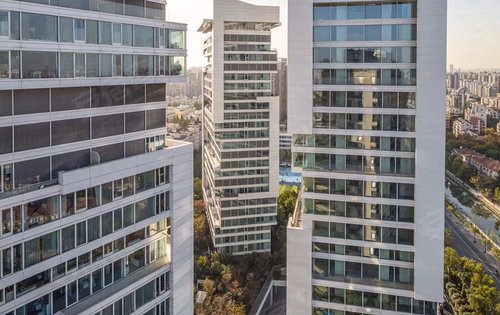 中鹰·黑森林11号