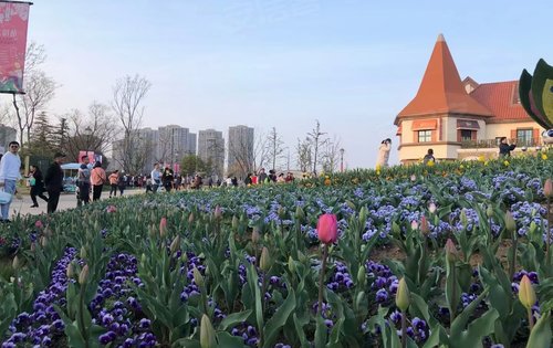祥源花世界动态:花世界业主的后花园还是很漂亮的-合肥安居客