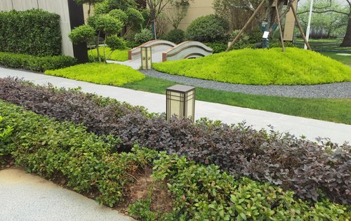 碧桂园湖山樾售楼部实景园林拍摄