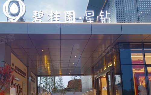 武冈碧桂园星钻