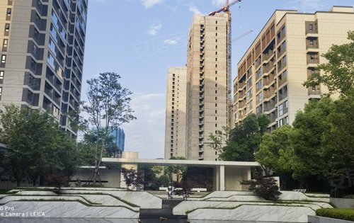 地建嘉信·臻华府动态:这就是你家的样子,你喜欢吗?-汉中安居客
