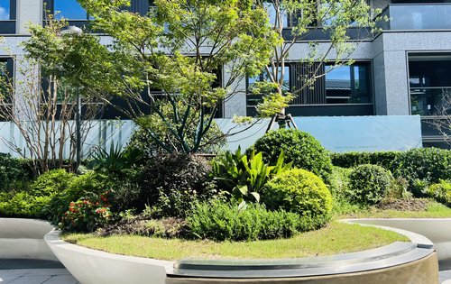 小区绿化景观,主干道,外立面