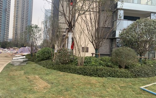 禹洲朗廷元著动态:一期楼栋临近交房-武汉安居客