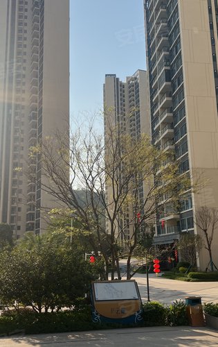 碧桂园中洲云麓花园