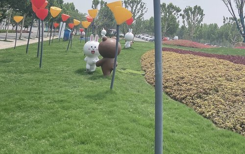 一路之隔的生命谷公园有大面积的草坪花卉观赏植被等