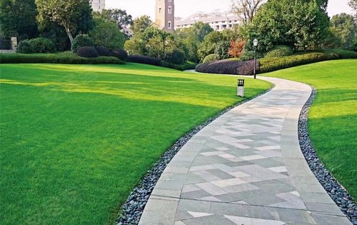 新力已交付小区绿化