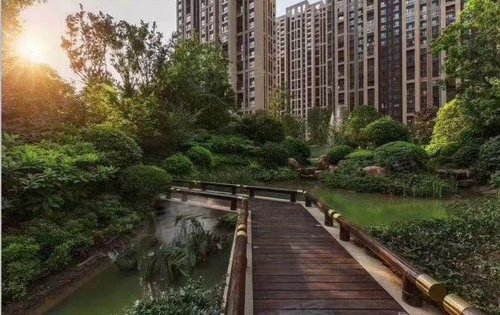 社旗鑫联文景苑十二年制赵河学校对面绿化率60