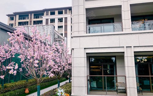 保利天樾人家动态:保利天樾真叠墅简单大方-苏州安居客