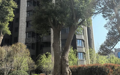 今日小区园林景观小桥流水春回大地万物复苏