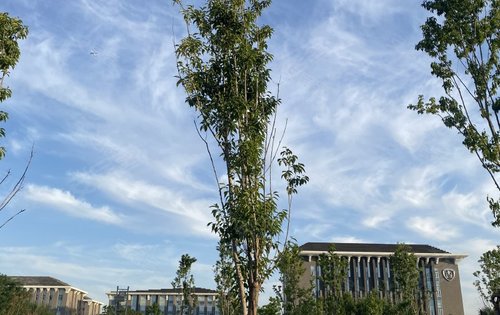 周边大学林立有中医药大学北京工商大学首都师范大学等