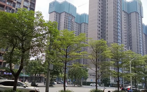 合景新鸿基泷景动态:8期10座11座在售了-佛山安居客