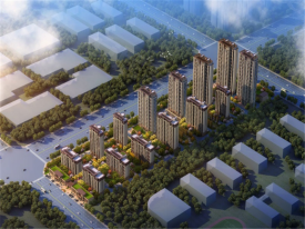 远大中国府紫京府