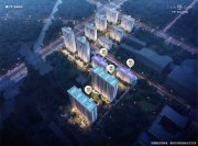 桥西区维明大街保利维明天珺·东序楼盘新房真实图片
