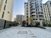 信都区信都区月晟天玺胤楼盘新房真实图片