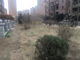 辽阳第一城